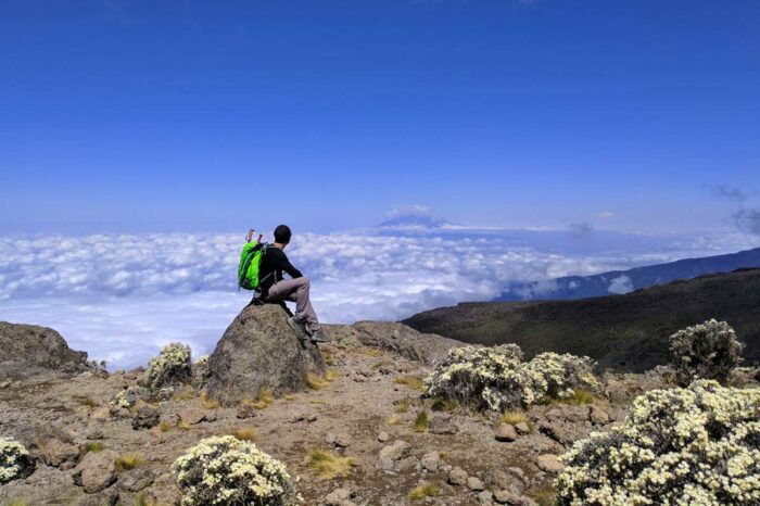 Kilimanjaro National Park